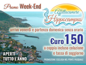 Esempio di immagine adattiva